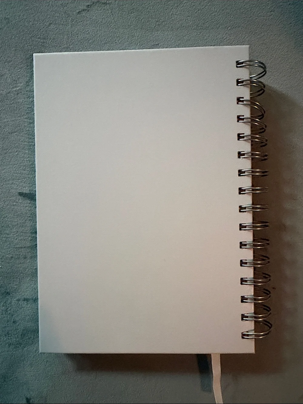 Gratitude Journal Spiral Notebook